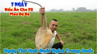 7 Ngày Nấu Ăn Cho F0 Mao Đệ Đệ - Ngày Thứ Hai: Đuôi Nghé Trung Quốc