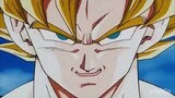 Majin Vegeta vs SSJ2 Goku Full Fight Eng Dub