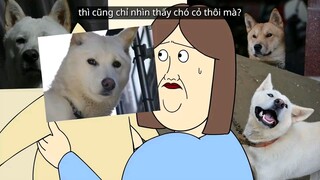 thằng cờ hó Jial Tae Sik #1 #haihuoc