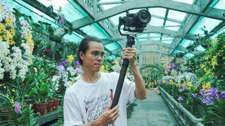 5 bài tập gimbal cho người mới // ft.RS 3 Mini