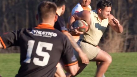 Sheep Fat Olive Ball