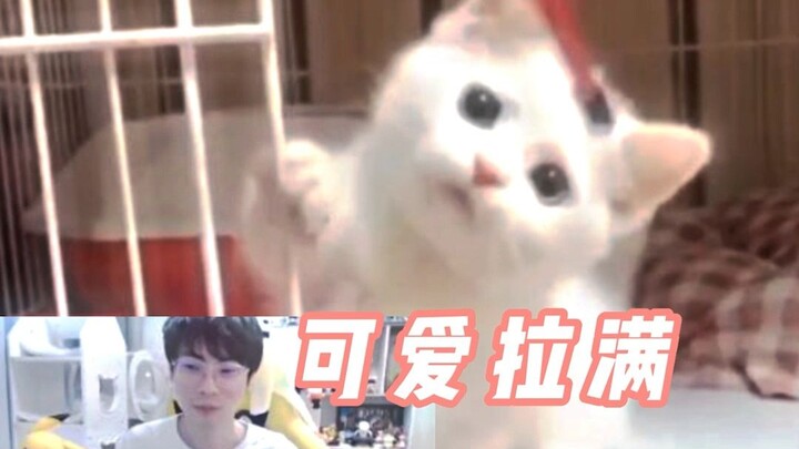 ราศีเมถุน: วิดีโอวันนี้น่ารักเกินพิกัดเลยนะ~