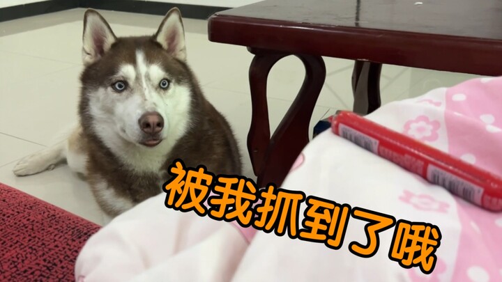 Trying to sneak snacks while carrying Er Ha on my back, but he’s like a security camera!