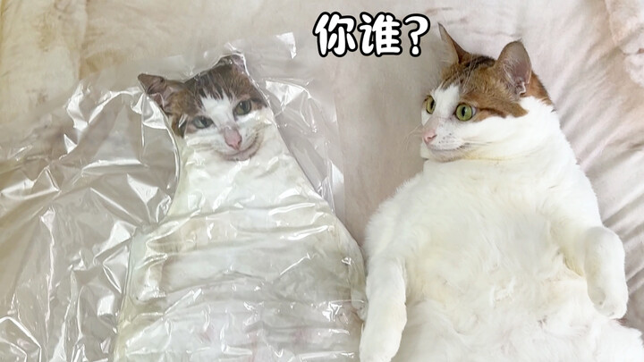 Bantal peluk tanpa batas juga enggak jelek kok!