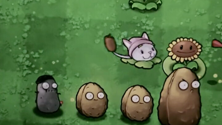 ดอกไม้กินคนคือคำโกหกของเธอ/.