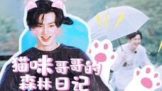 陈哲远║奇妙小森林║猫咪哥哥的森林日记