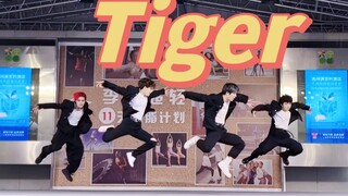 全网第一｜Tiger路演全体直拍 权顺荣solo曲翻跳｜K-stage路演 猜猜谁是唯一的男人
