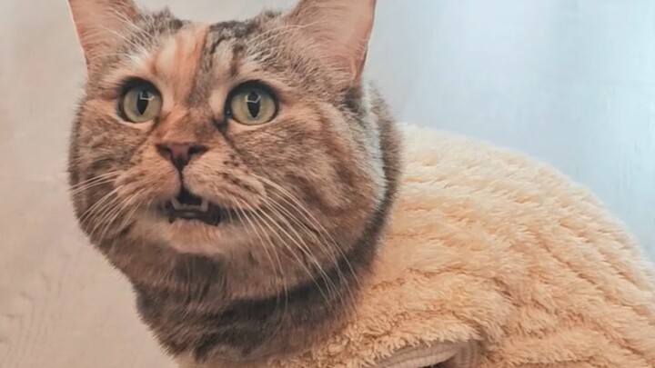 I didn’t get fat—my clothes are just too heavy!