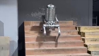 Tải trọng 250Kg, thử nghiệm khắc nghiệt trên địa hình phức tạp!