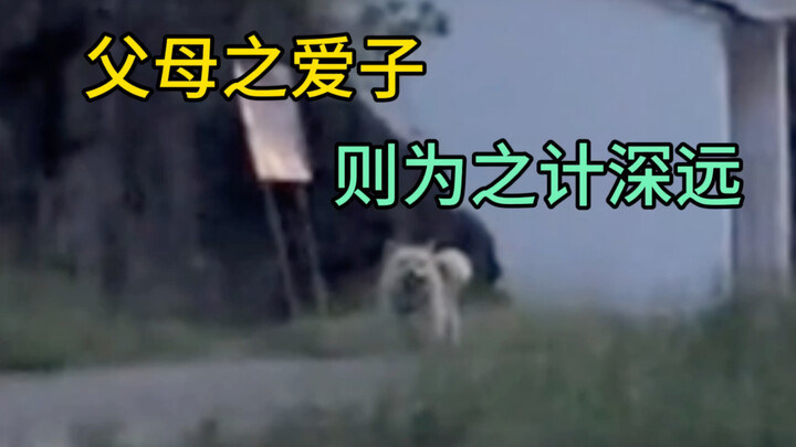 นี่คือชะตาชีวิตที่ดีที่สุดที่แม่ได้สู้เพื่อเธอ!