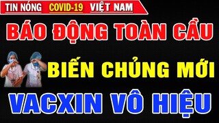 Tin nóng thời sự mới nhất ngày 1/07||Tin tức chính trị Việt Nam và Thế Giới