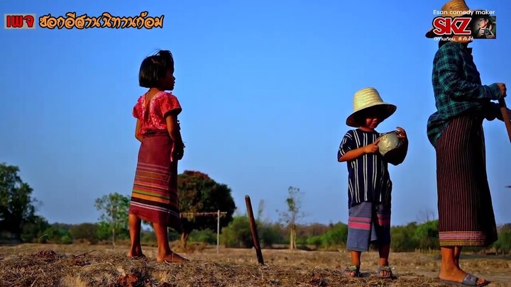 เก็บดอกกะโดน  ฟังเสียงแคนแดนอีสาน