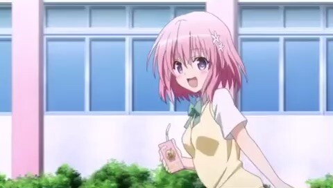 to love ru x boyfriend