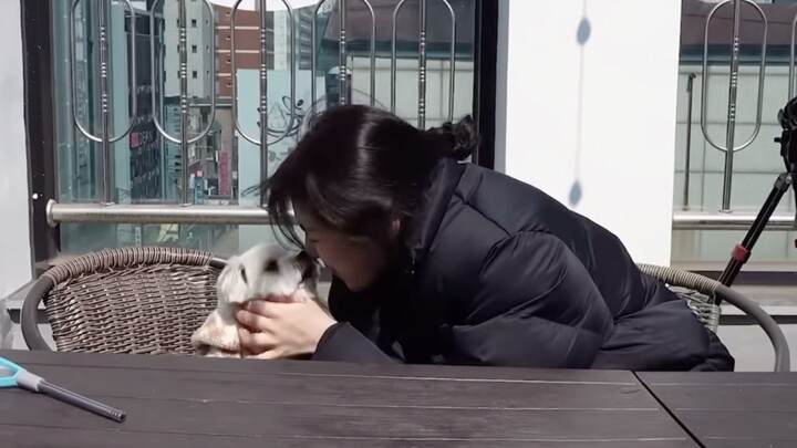 【แปลเอง】ไฉ่ซู่ปรากฏตัวในรายการหลี่เจียต้าเจี๋ย ยินดีต้อนรับการแสดงของไฉ่ซู่