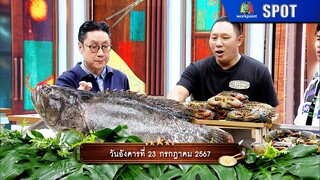 ปัญญา 5 ดาว | EP.85 | 23 ก.ค. 67 | SPOT
