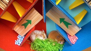 ภารกิจของหนูแฮมสเตอร์ EP 321