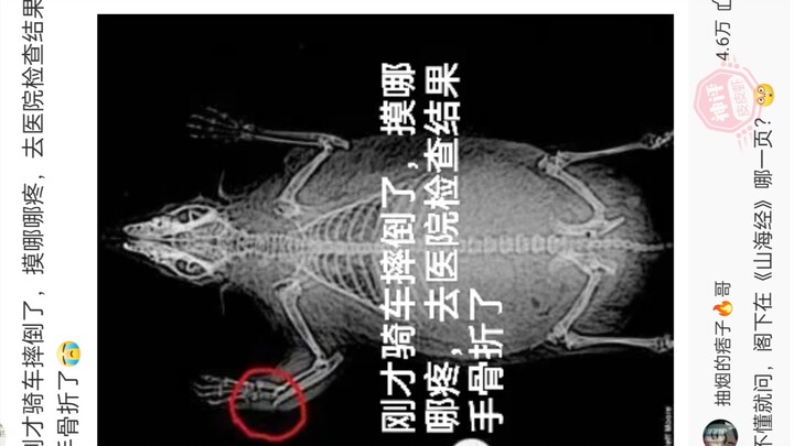 Bình luận bá đạo của cư dân mạng (45)