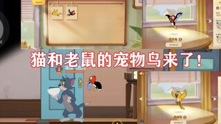 Game mobile Tom and Jerry: Sebenarnya ada sistem pet dengan skill tambahan