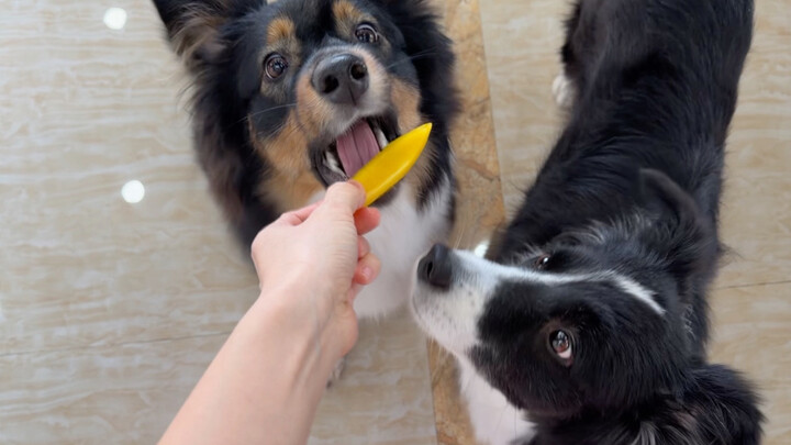 Hari ini adalah babak saling mengalah