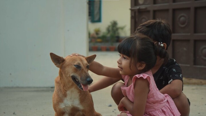 Tora's Husband‎ (2022) [EngSub] Assamese