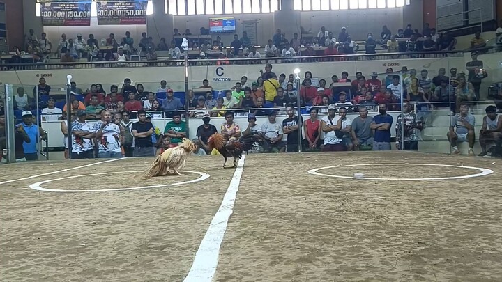 white gold po sa amin (WIN) san juan arena collesium