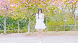 【Cover Dance】สาวน้อยเต้นเพลง Koi wa Kitto Kyuujoushou