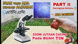 BUAH DIDALAM AL-QURAN [ TIN atau ARA ], Akhirnya Saya Menemukan Cacingnya.. HOAX