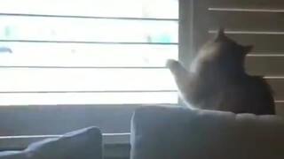 المولى: ليكن هناك نور