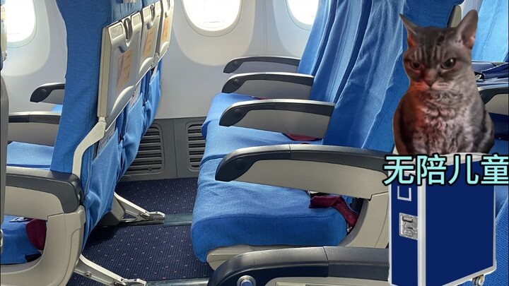 Hari ini seorang pramugari gantung diri di dalam pesawat