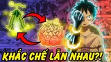 Những Trái Ác Quỷ Khắc Chế Lẫn Nhau Trong One Piece