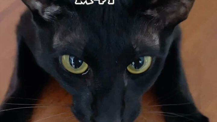 Mỗi ngày đều là một ngày được chữa lành