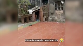 Quen hết dòi