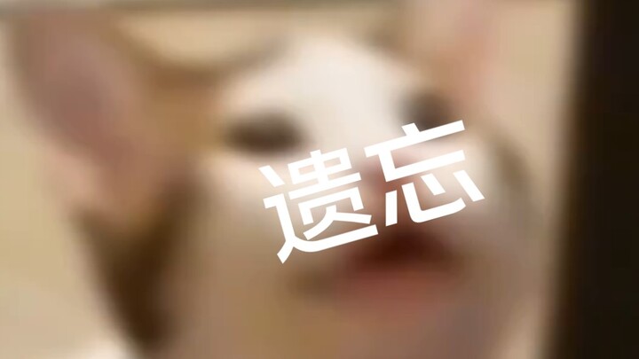 Death isn't scary; what's scary is being forgotten.