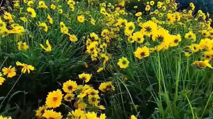 BALUTAKAY DAVAO DEL SUR