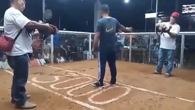 3HITS ULUTAN SA NSQCA DEC. 24, 2023 3RDFIGHT WIN CHAMPION