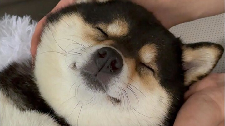 SPA Selebriti Wanita Saat Perjalanan