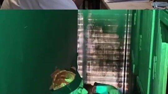 An Incredible Scene Unfolds