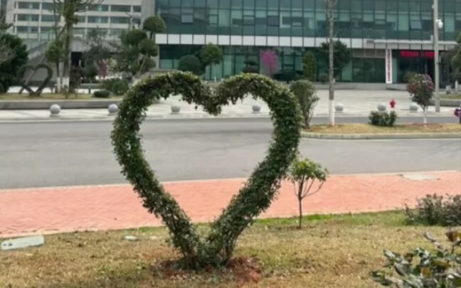Weird and Wonderful Trees on Campus