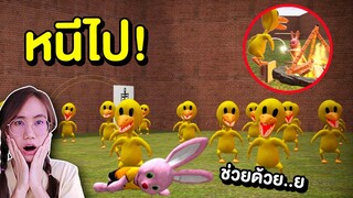 หนีไป!! ถ้าเจอแก๊งไก่เหลืองสุดแสบ  | Mind&Nat