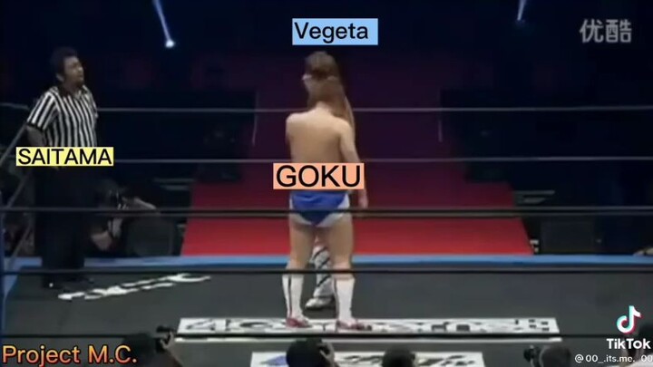 "PvP" Goku vs Vegeta🤨