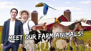 Showing You All The ANIMALS Living On Our FARM (Cavite, Philippines) - Nov. 11, 2022 | Vlog #1575