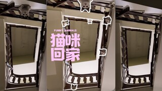 This is the cutest video in the world 💗