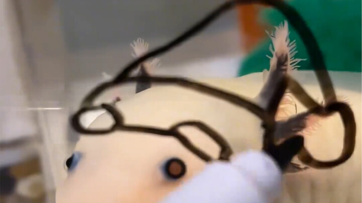 แบ่งปันกับคนที่น่ารักและน่าสนใจ