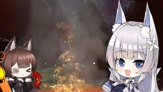 Debt Collection Fox