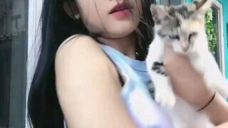 Pengen jadi kucing