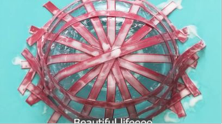 sống vui sống khỏe p2 #mytivi