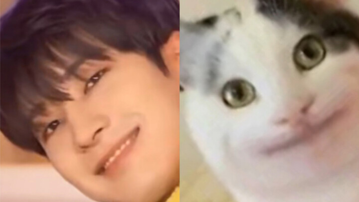 【Toàn Viên Hữu】“Bạn nhìn cho rõ đi, tôi không phải là anh ấy”