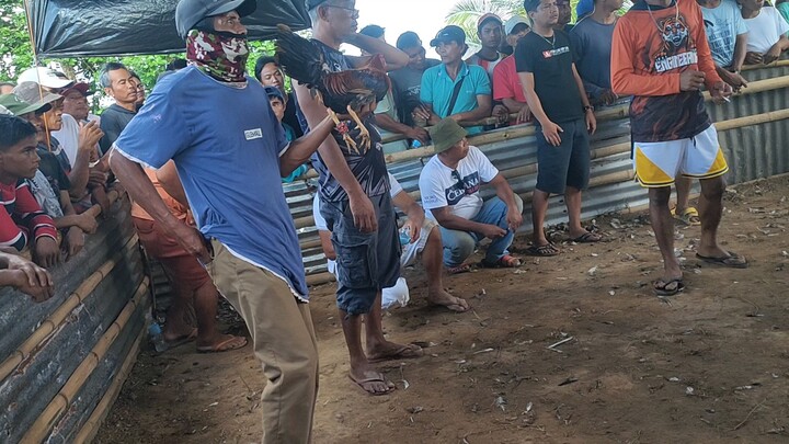 2x winner na si lpula