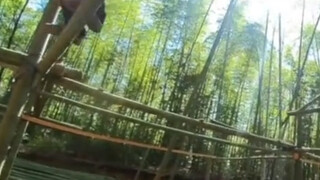 东风未破少年梦 再见依然拉满弓