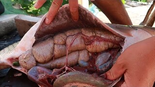 Món ăn 1 tỷ trứng cá trắm trắng canh chuối tiêu | Hoa Ban Tây Bắc